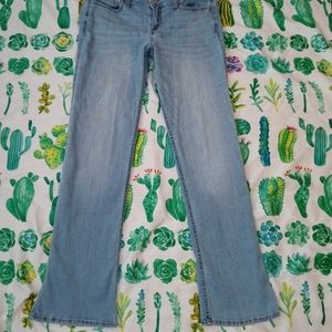 Hollister Low Rise Boot Jean